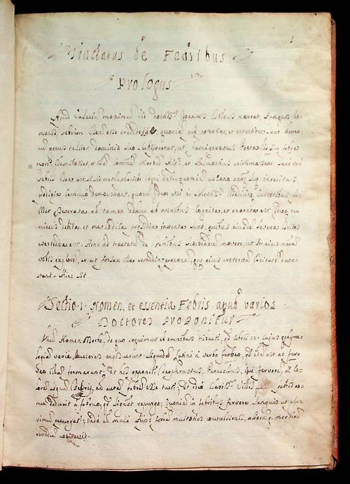 Manoscritto universitario della facoltà di Medicina di Napoli: Tractatus de febribus - De morbis regionis Artis.