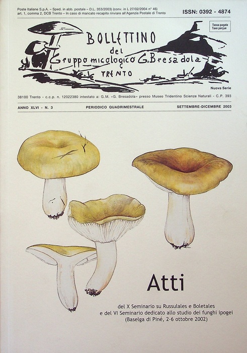 Atti del X Seminario su Russulales e Boletales e del VI seminario dedicato allo studio dei funghi ipogei: (Baselga di Piné, 2-6 ottobre 2002).