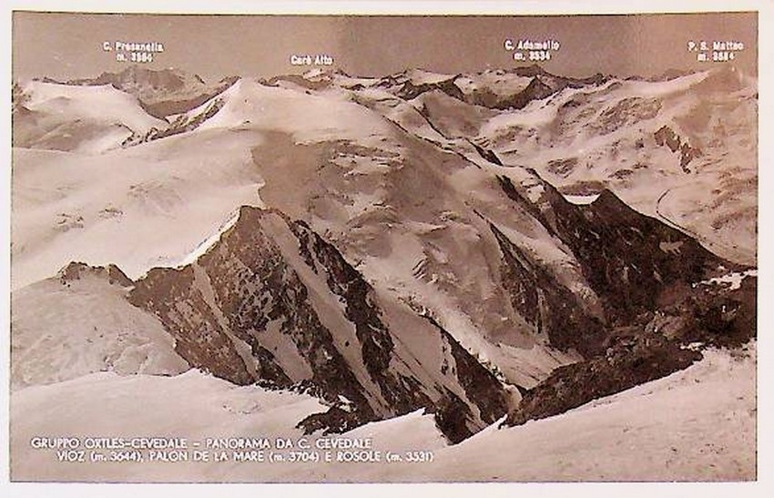 Gruppo Ortes-Cevedale. Panorama da C. Cevedale. Vioz (m. 3644), Palon de la Mare (m. 3104) e Rosole (m. 3531).