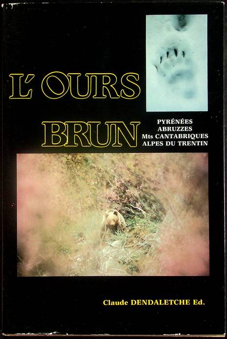 L'ours brun: Pirénées, Abruzzes, Mts Cantabriques, Alpes du Trentin.