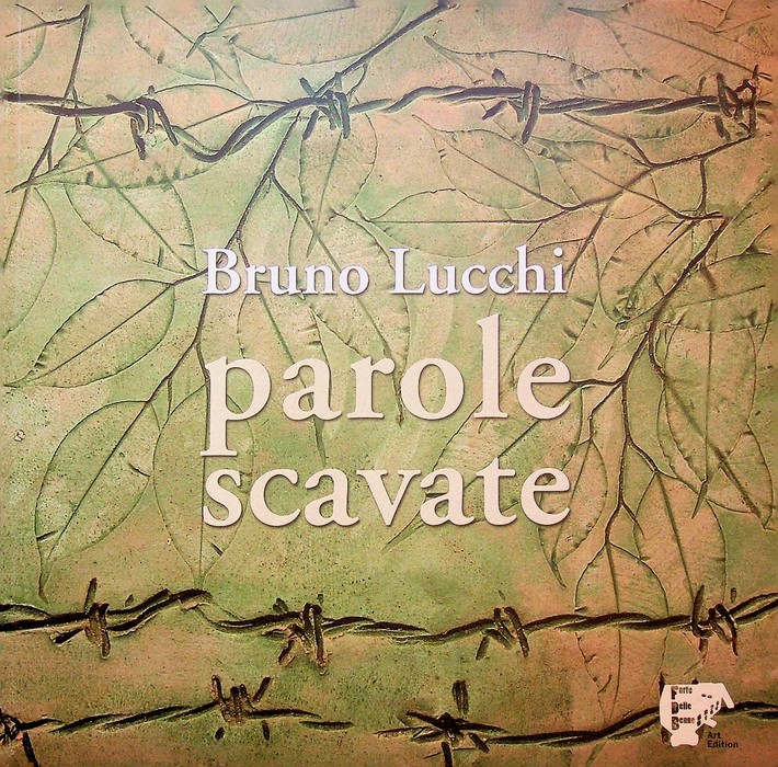 Bruno Lucchi: parole scavate. 