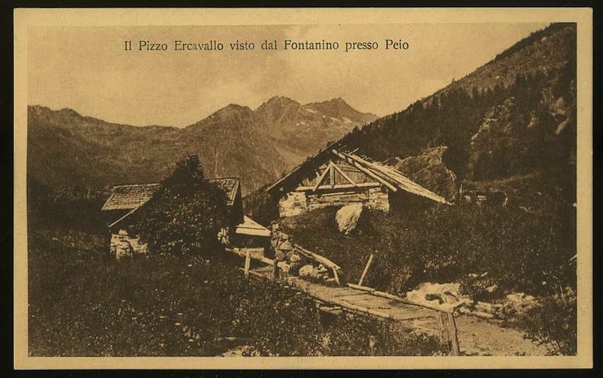 Il Pizzo Ercavallo visto dal Fontanino presso Peio.