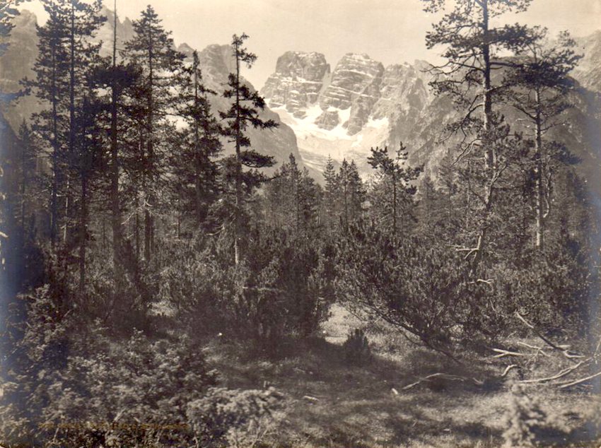 3591. Monte Cristallo b. Schluderbach.