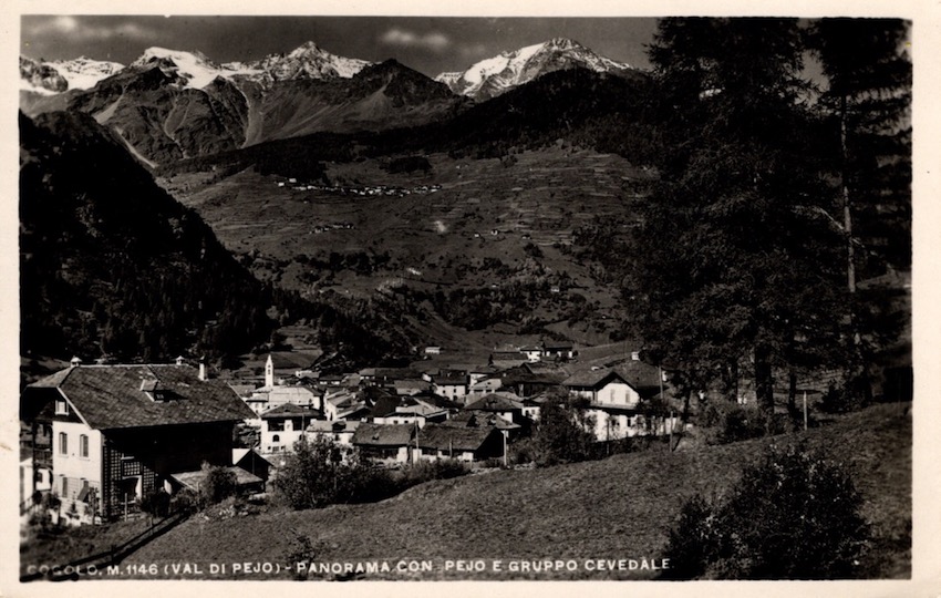 Cogolo m. 1146 (Val di Pejo) - Panorama con Pejo e Gruppo Cevedale.
